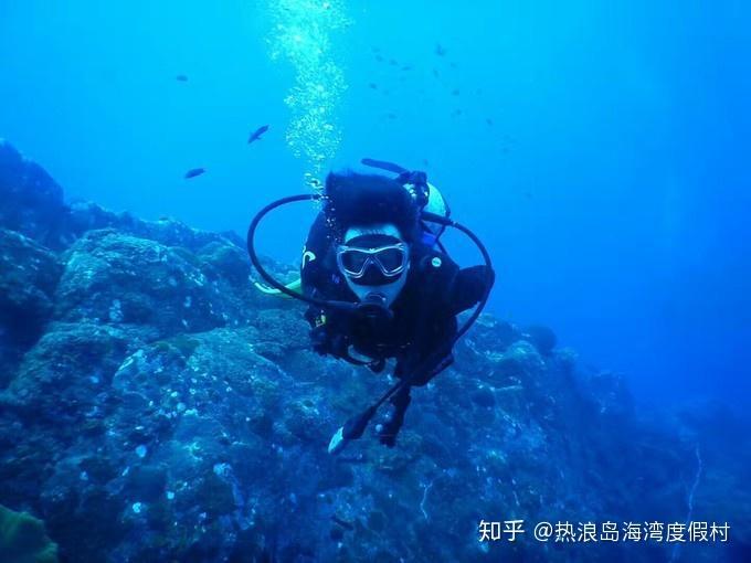 憨豆先生找小熊
